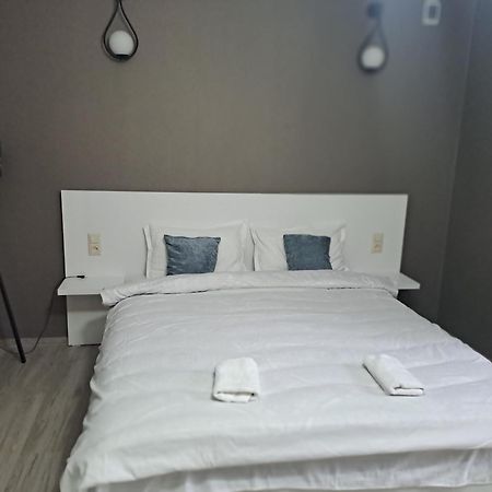 Ira & Vaso'S Guest House Borjomipark 外观 照片