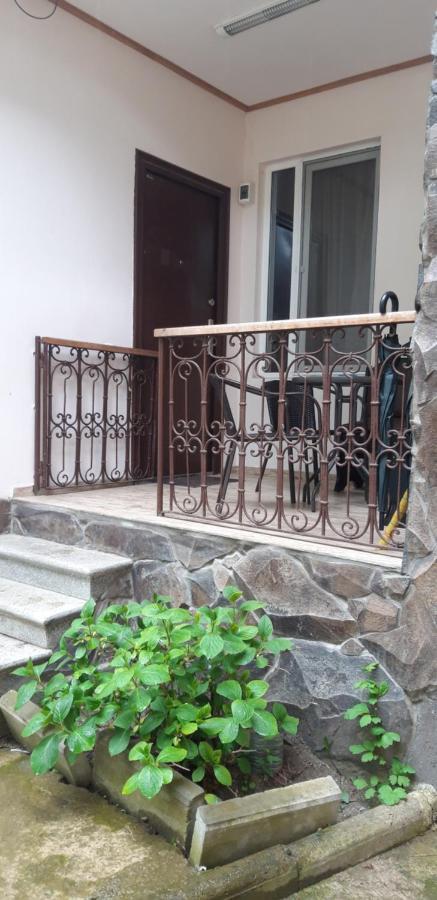 Ira & Vaso'S Guest House Borjomipark 外观 照片