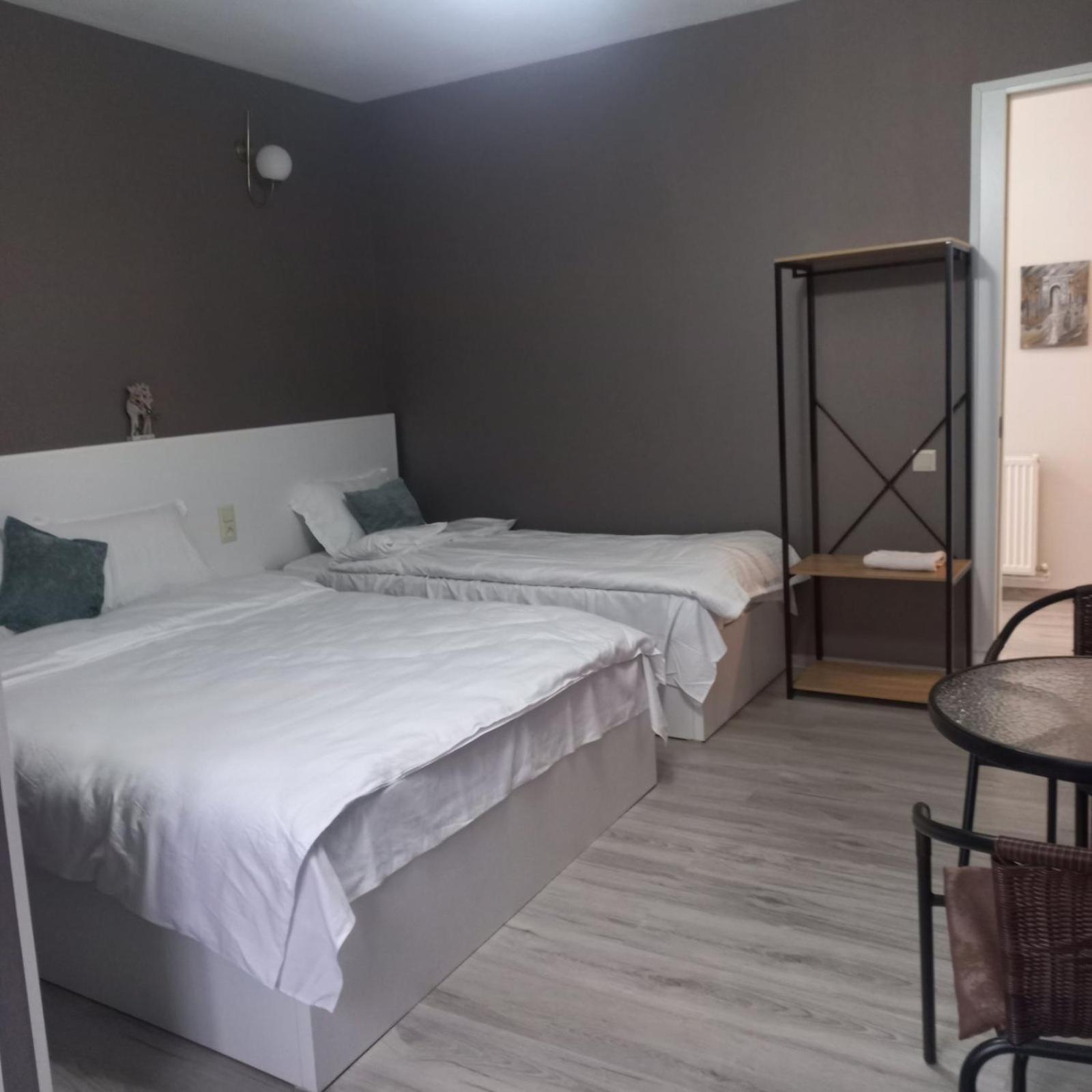 Ira & Vaso'S Guest House Borjomipark 客房 照片