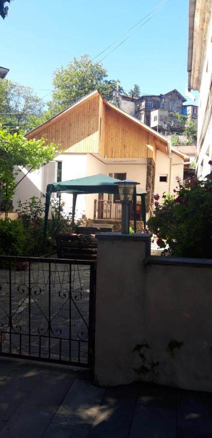 Ira & Vaso'S Guest House Borjomipark 外观 照片